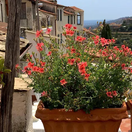 Lejlighed Casa Renata