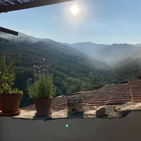 Lejlighed Casa Renata